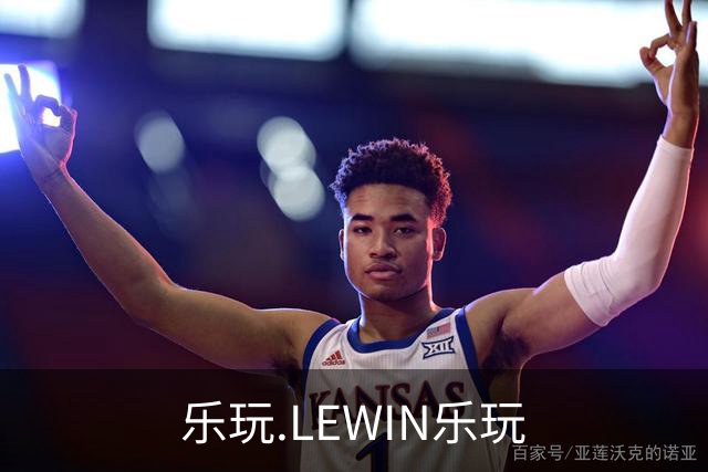 乐玩.LEWIN乐玩公司介绍
